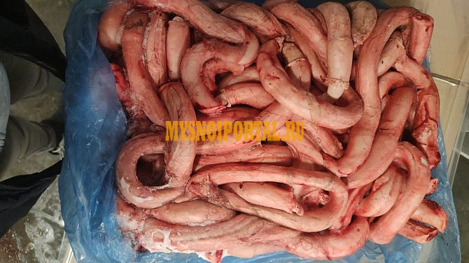 Корень бычий (пенис) Ижевск - изображение 1