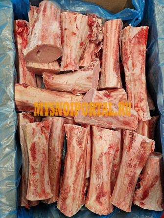 Кость КРС говядина Зеленоград - изображение 1