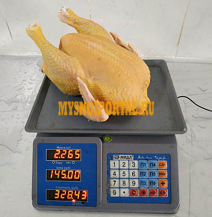 Цыпленок бройлер фермерский Краснодар - изображение 1