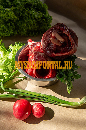 Лёгкое для собачек Ижевск - изображение 1