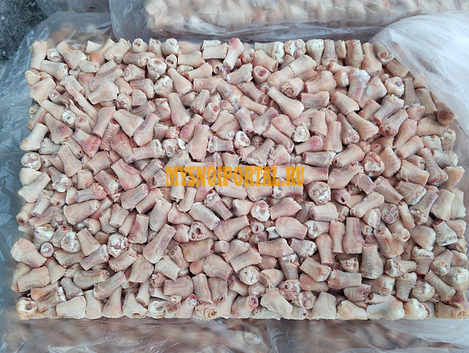 Ноги куриные зам, от 1 тонны, оптом в Раменском Раменское - изображение 1
