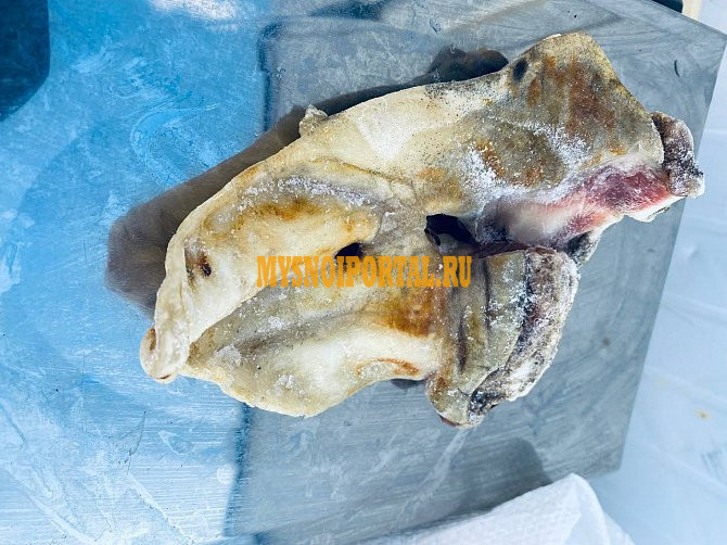 Уши говяжьи Москва - изображение 1