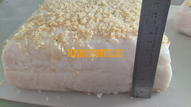 Шпик соленый Бийск - изображение 1