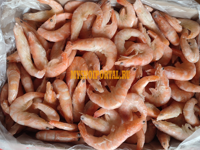 Креветки 30/40 Шахты - изображение 1