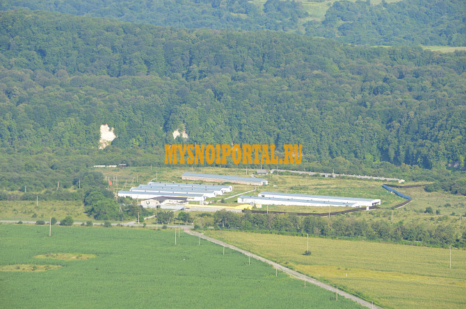 Продажа действующей птицефабрики в РСО-Алания Владикавказ - изображение 1