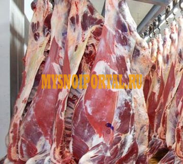 Туши говяжьи ГОСТ, Халяль, парное, в Андижане Андижан - изображение 1