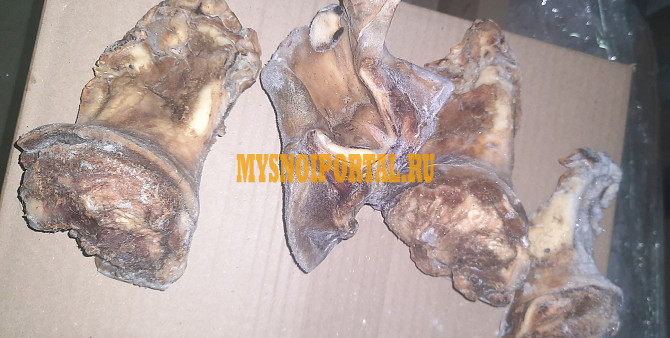 Субпродукты говяжьи Омск - изображение 1