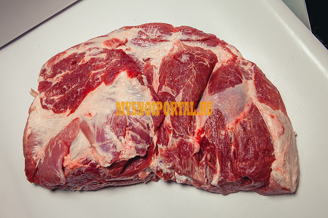 Лопатка Бийск - изображение 1