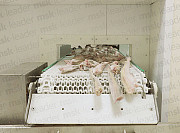 Спиральный конвейер шоковой заморозки Guntner Москва