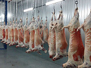 Мясо Баранины оптом Волгоград