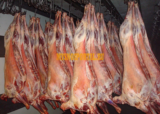 Мясо Баранины оптом Волгоград - изображение 1