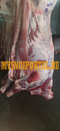 Полутуши Говяжьи бычков ГОСТ, зам, 365 руб. в Омске Омск - изображение 1