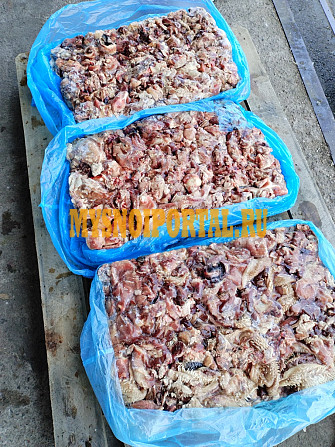 Обрезь говяжья головная Санкт-Петербург - изображение 1