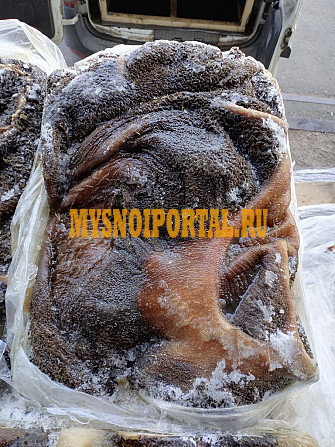 Рубец говяжий мытый, для собак Санкт-Петербург - изображение 1