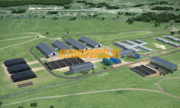 Продам ферму 1200 голов скота Чудово - изображение 1