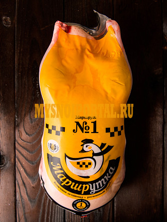 МаршрУТКА (КФХ Ткаченко И.И.) Динская - изображение 1