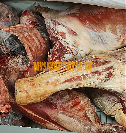 Продажа мяса баранины и говядины заморозка Урай - изображение 1
