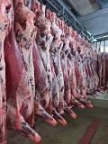 Полутуши Говяжьи коров, бычков, телят  ГОСТ, Халяль, ТУ,  охл, 385 руб.  в Москве  доставка из г.Москва
