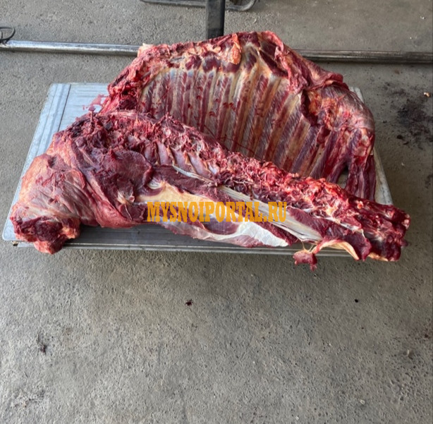 Полутуши Говяжьи бычков ГОСТ, ТУ, н/к, зам, 335 руб. в Новосибирске Новосибирск - изображение 1