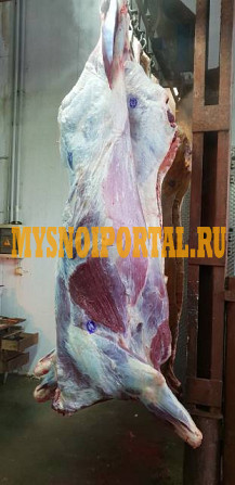 Полутуши Говяжьи коров, бычков ГОСТ, н/к, зам, 265 руб. в Новосибирске Новосибирск - изображение 1