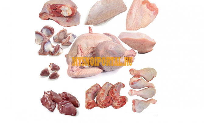 Курица Бройлер Алматы - изображение 1