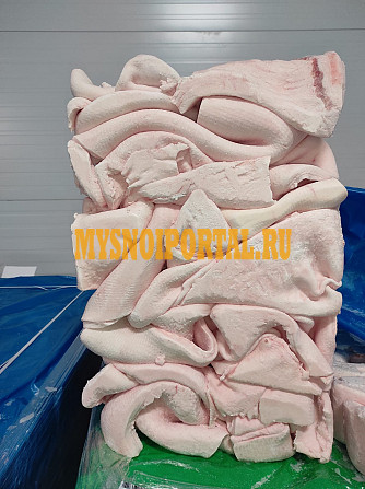 Шпик хребтовой Бронницы - изображение 1