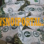 ЦБ Равис Халяль Москва - изображение 1