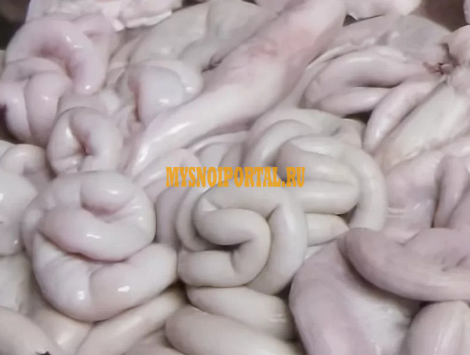 Продаю Кишки свиные РФ зам, от 100 кг, оптом в Смоленске Смоленск - изображение 1