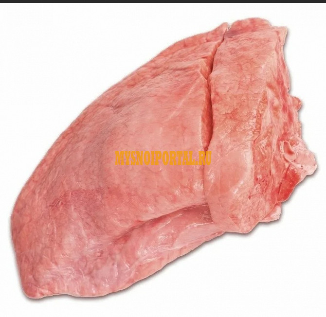 Продаю Легкое свиное РФ зам, от 100 кг, оптом в Смоленске Смоленск - изображение 1