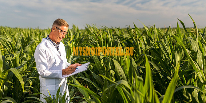 Вакансия Агроном в Чудово Чудово - изображение 1