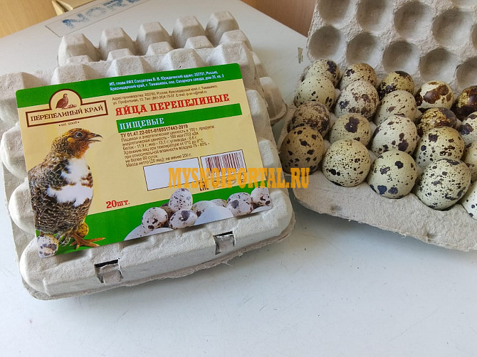 Яйцо перепелиное Тимашевск - изображение 1