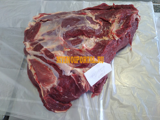 Тазобедренная часть говядины Челябинск - изображение 1