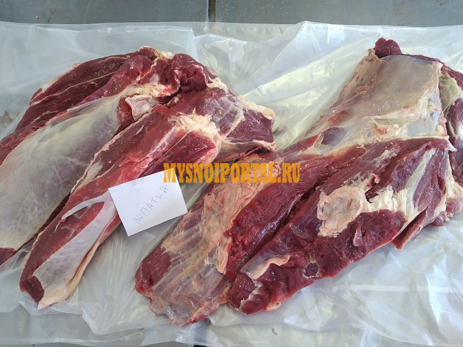 Лопатка говяжья Челябинск - изображение 1