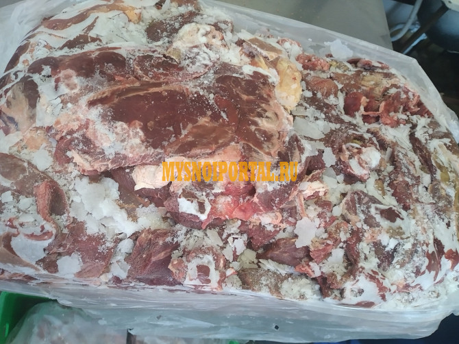 Котлетное мясо говядина Челябинск - изображение 1