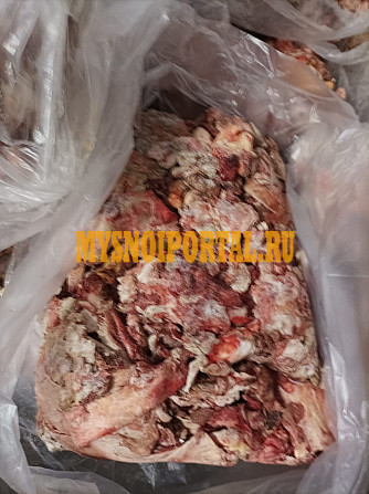 Жилка говяжья от 100 кг, оптом в Москве Москва - изображение 1