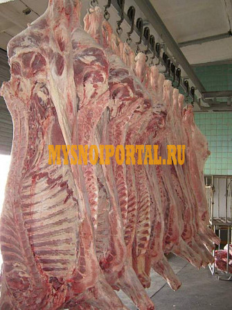 Полутуши Говяжьи коров, бычков, телят ГОСТ, охл, в Кокшетау Кокшетау - изображение 1