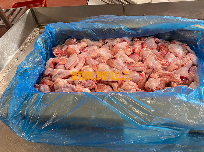 Крыло куриное - 3 фаланги, 165 руб. в Москве Москва - изображение 1