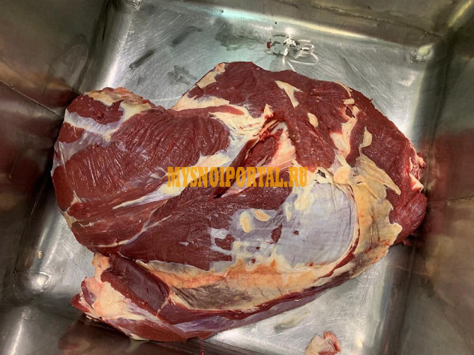 Лопаточный отруб Санкт-Петербург - изображение 1