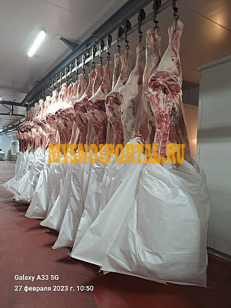 Полутуши Говяжьи бычков ГОСТ, н/к, зам, 3.75 $ в Минске Минск - изображение 1