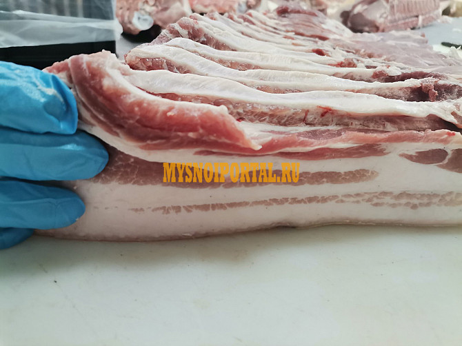 ООО"СГП-ПС" Узда - изображение 1