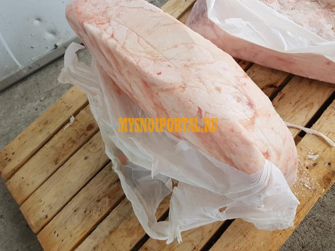 Куплю Жир Свиной -сырец зам, от 20 тонн, оптом в Туле Тула - изображение 1