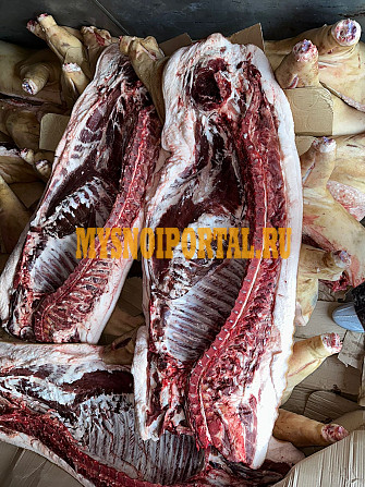 Свинина домашняя (полутуши) Ставрополь - изображение 1