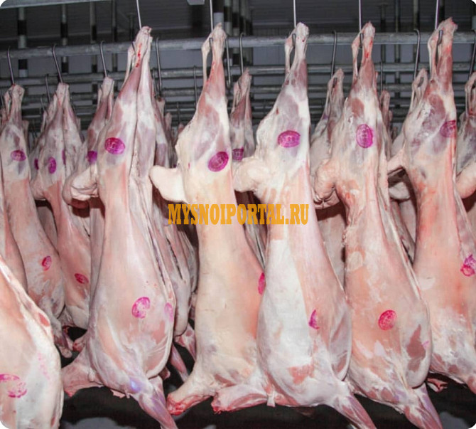 Баранина оптом на Иран Ирак с Аккредитация на Мусульманский Страны Алматы - изображение 1