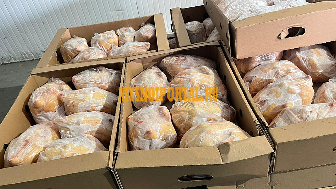 Курица оптом Халяль Ростов-на-Дону - изображение 1