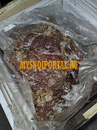Сычуг говяжий замороженный Минск - изображение 1