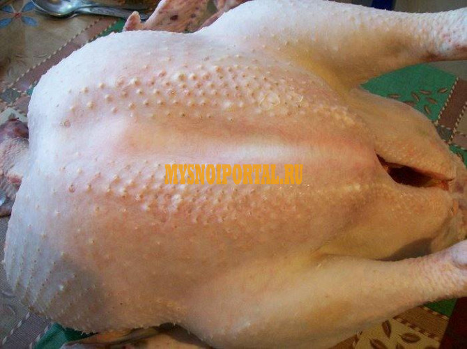 Продам тушки индейки Саяногорск - изображение 1