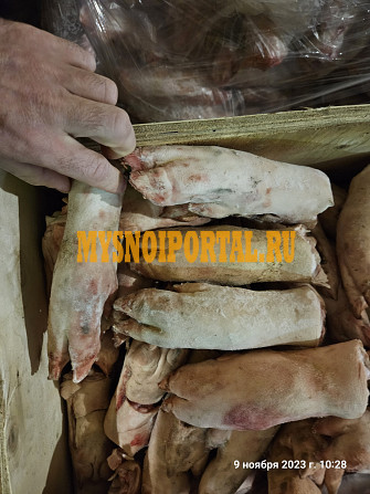 Ноги свинные Пенза - изображение 1