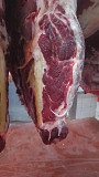  Куплю Полутуши Говяжьи бычков blak angus, HEREFORD, шаролезская, лимузинская, Wagyu, н/к,  охл, 400 руб.  в Москве  Москва