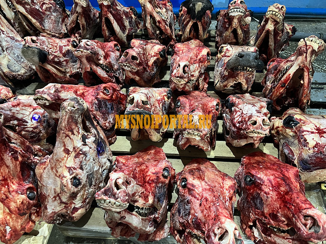 Головы говяжьи в Кургане Курган - изображение 1