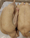 Мясо гуся Чекмагуш